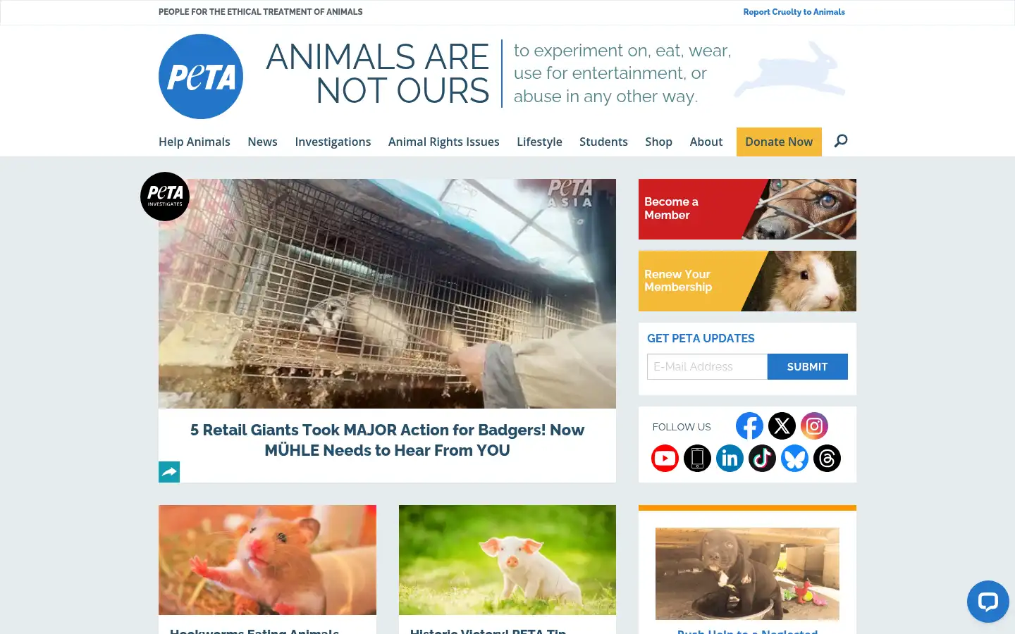 Screenshot of features.peta.org