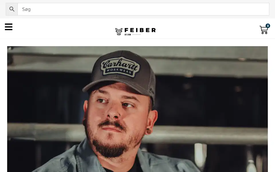 Screenshot of feiber.dk