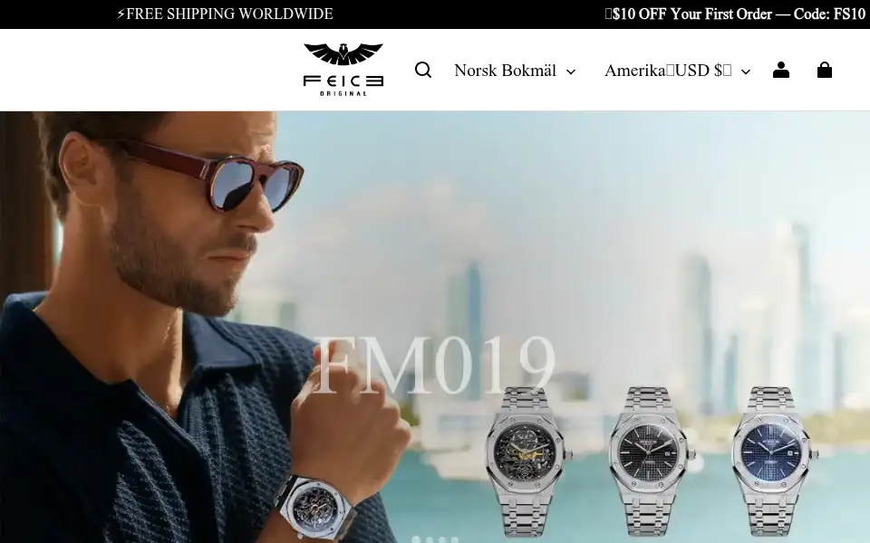 Screenshot of feicewatch.com
