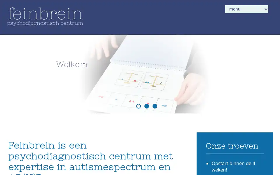 Screenshot of feinbrein.be