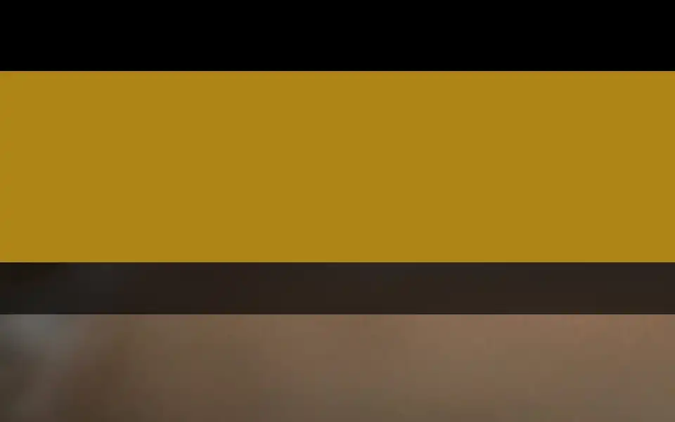Screenshot of felicanis.be