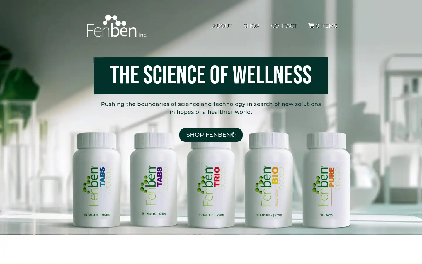 Screenshot of fenbeninc.com