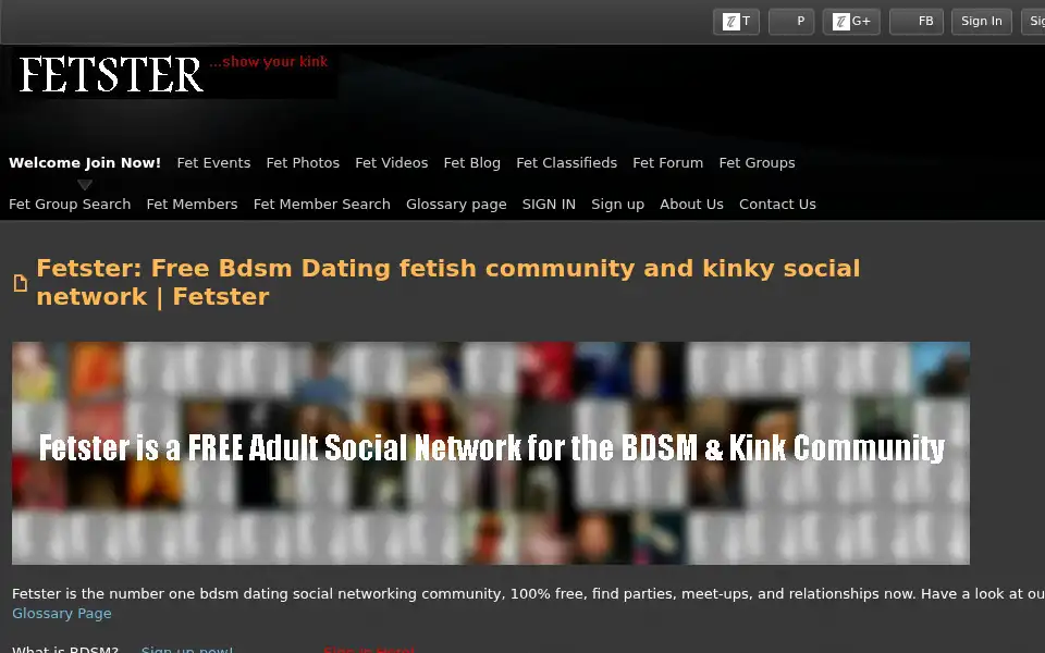 Screenshot of fetster.com