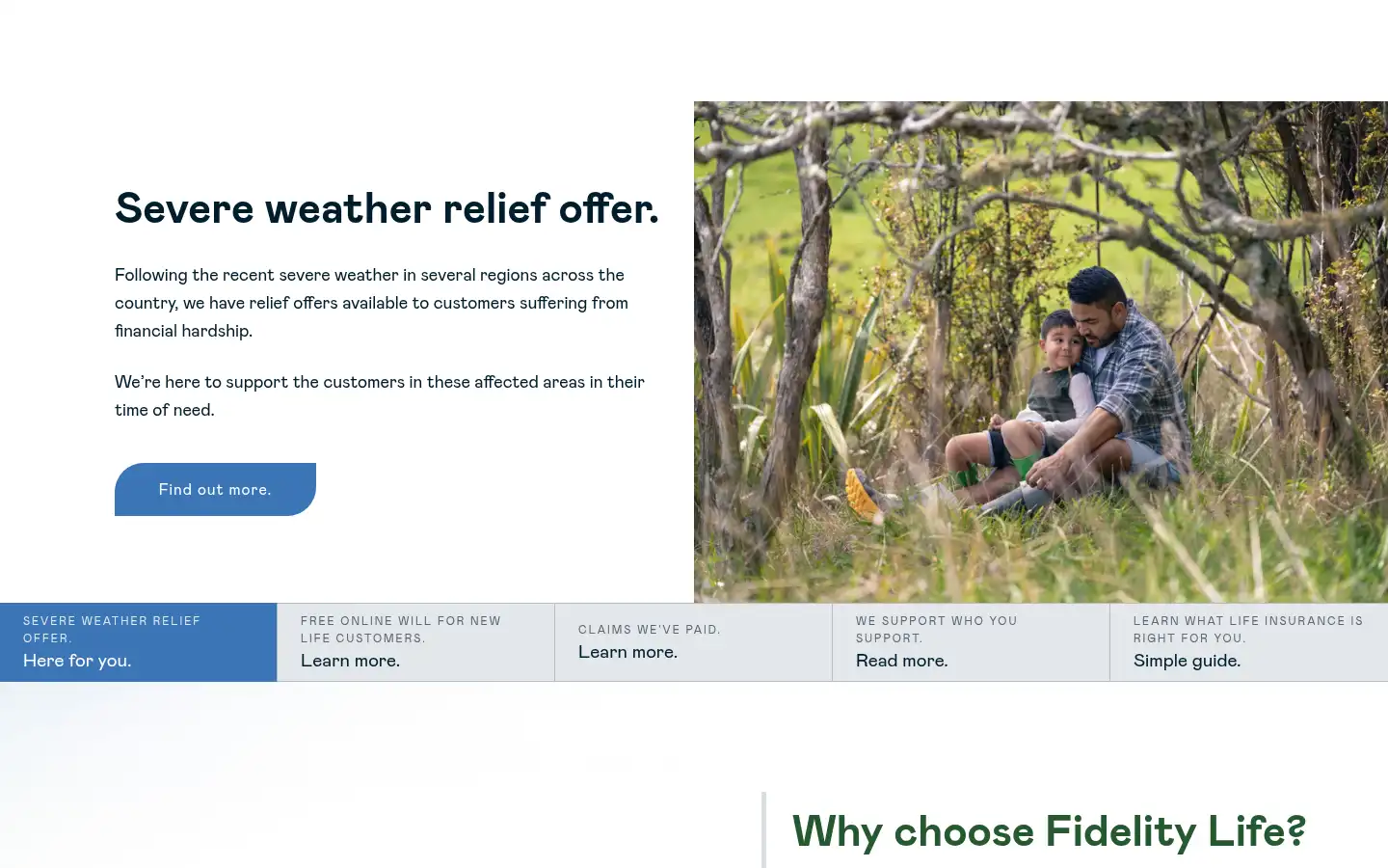 Screenshot of fidelitylife.co.nz
