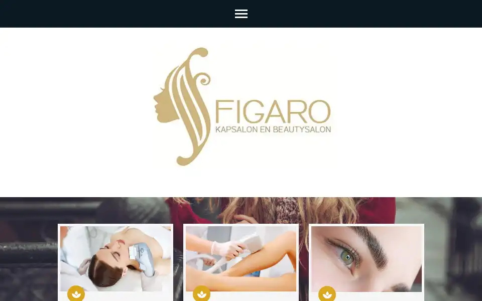 Screenshot of figarolelystad.nl