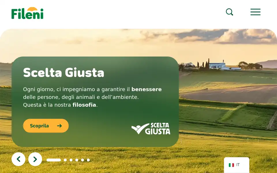 Screenshot of fileni.it