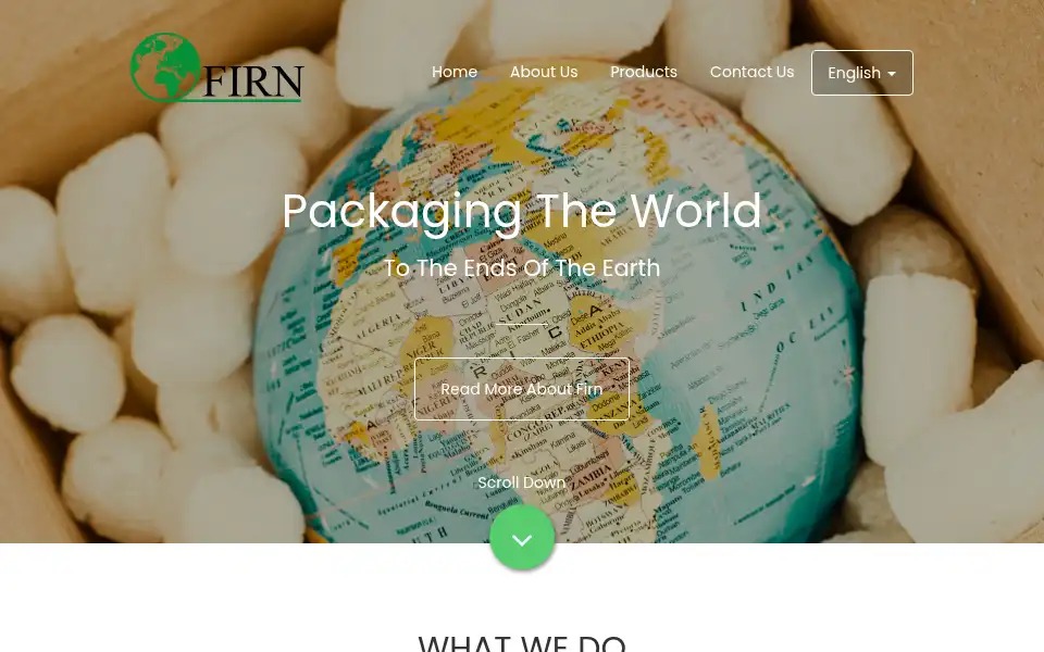 Screenshot of firn.org