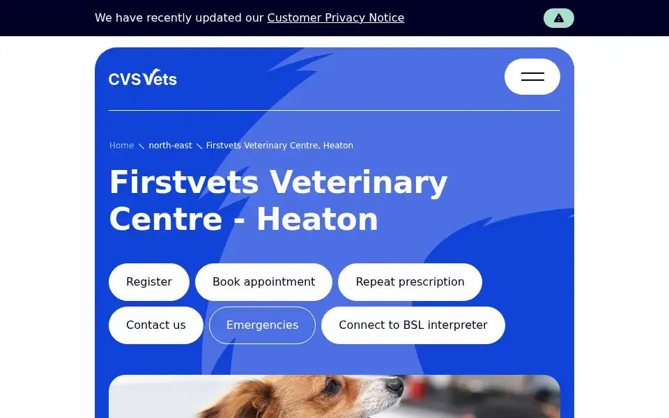 Screenshot of firstvets.co.uk