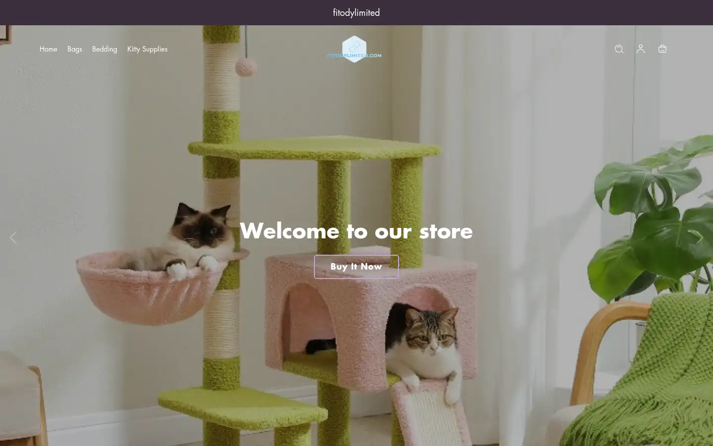 Screenshot of fitodylimited.com
