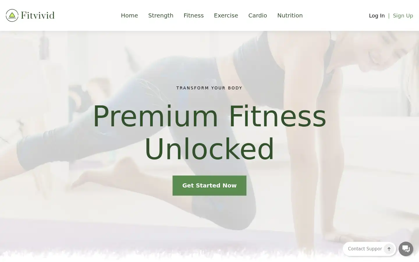 Screenshot of fitvivid.com