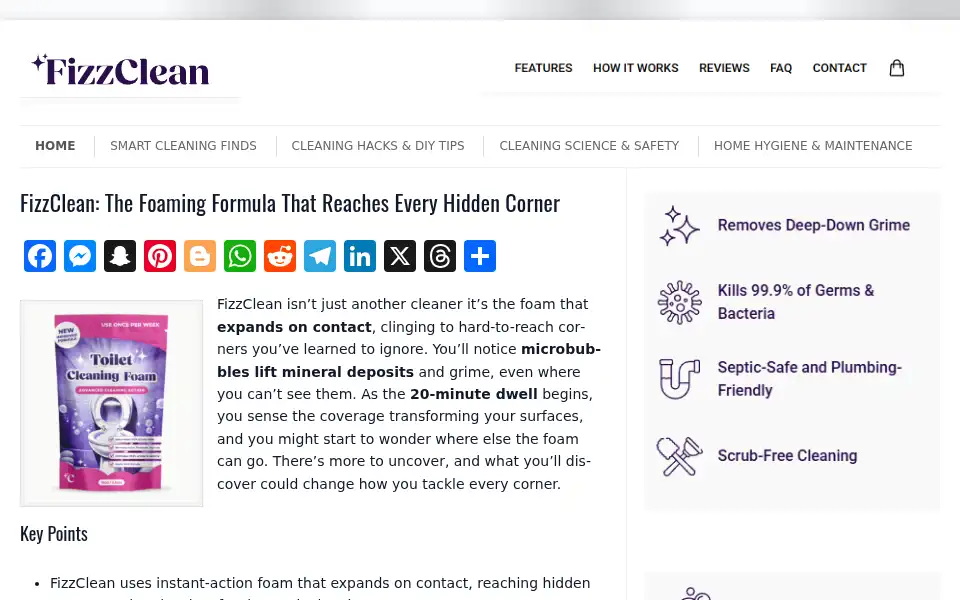 Screenshot of fizzcleantoilet.com