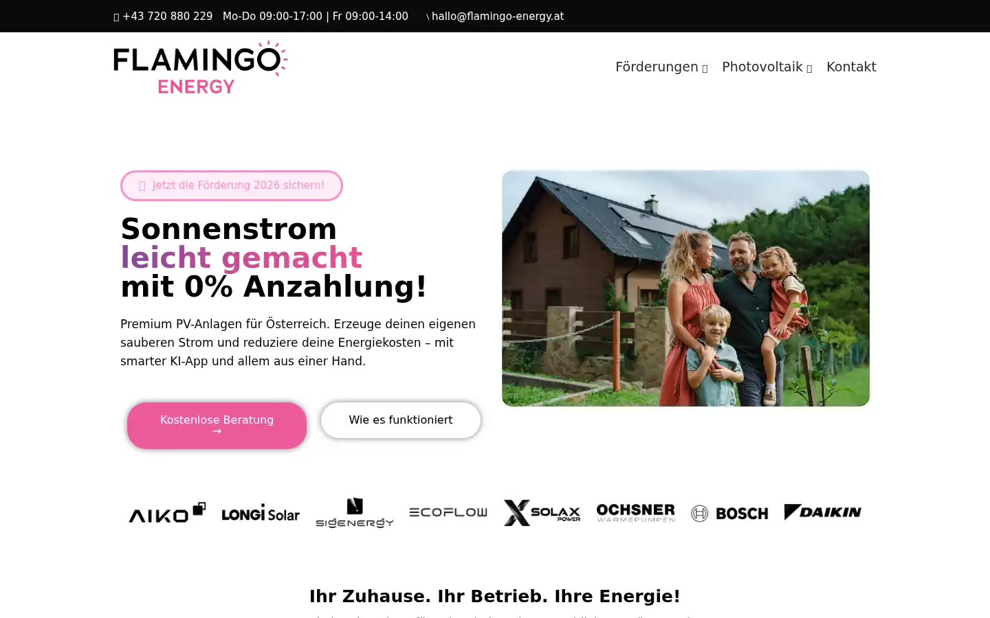 Screenshot of flamingo-energy.at