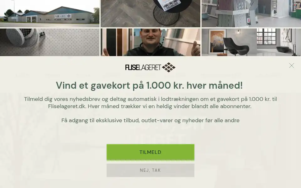 Screenshot of fliselageret.dk
