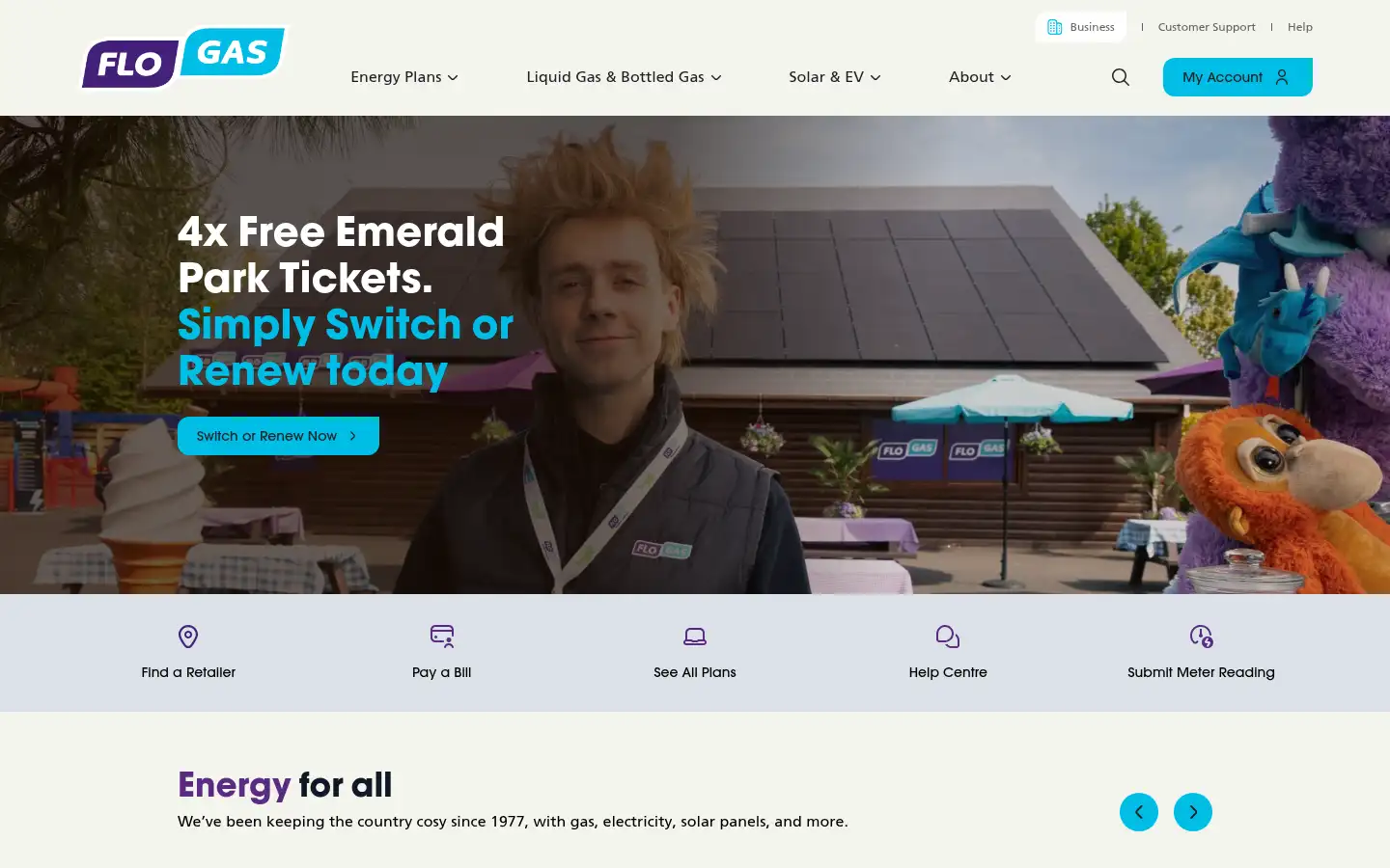 Screenshot of flogas.ie