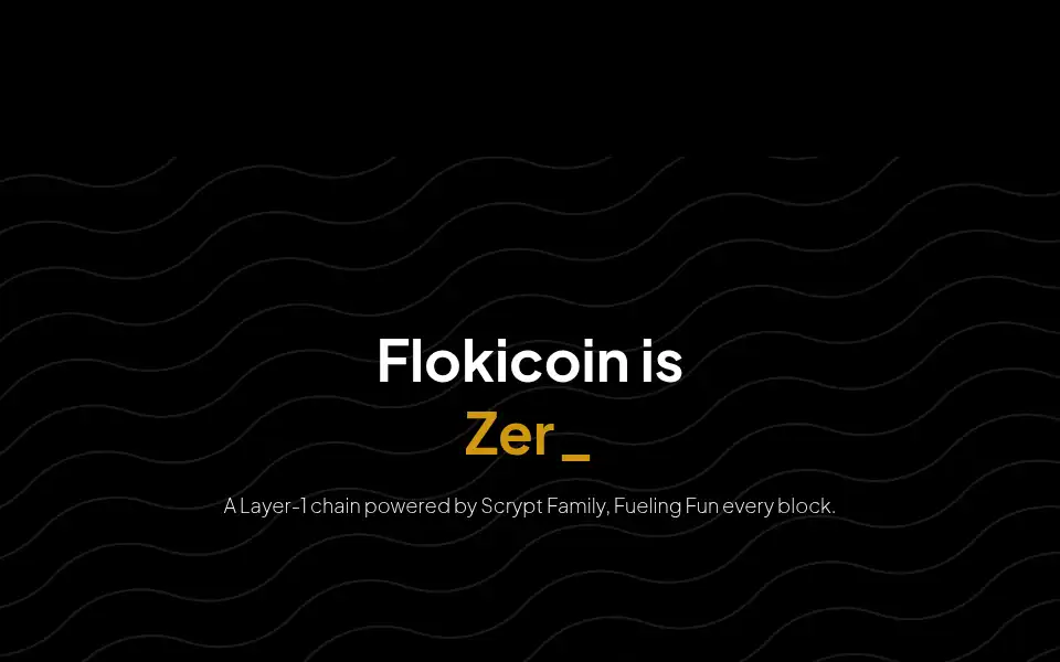 Screenshot of flokicoin.org