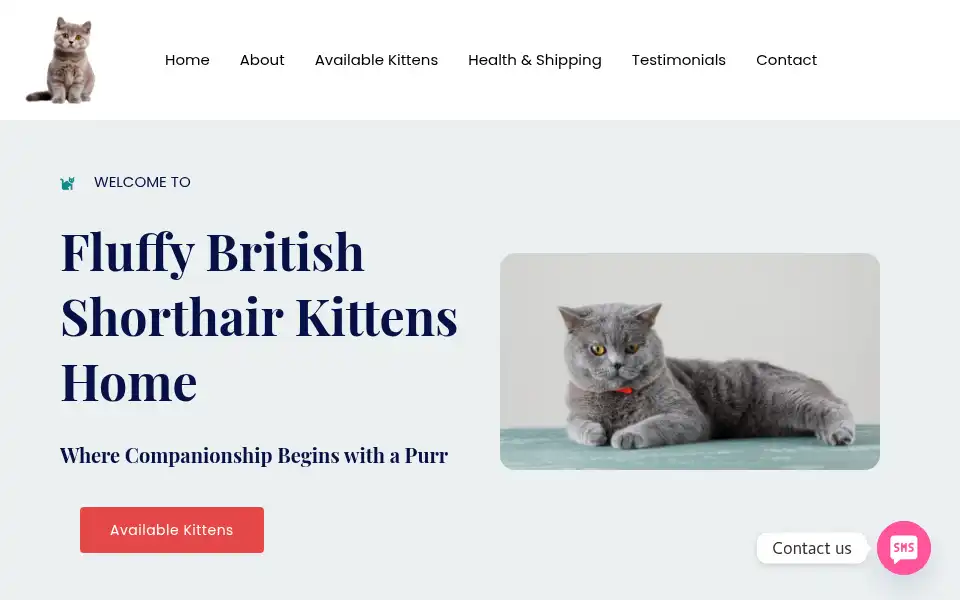 Screenshot of fluffybritishshorthair.com
