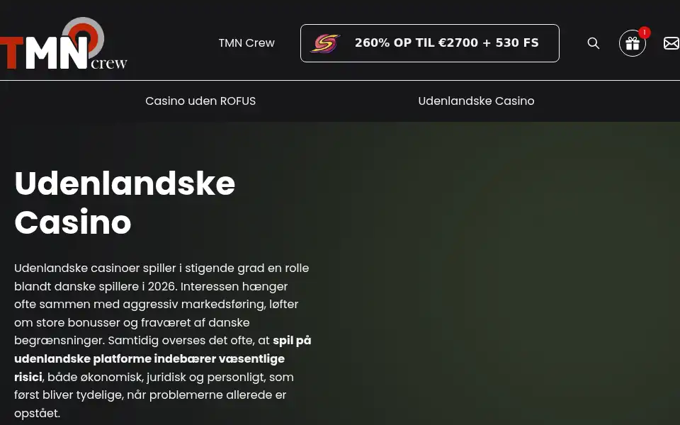 Screenshot of flytte-faetteren.dk