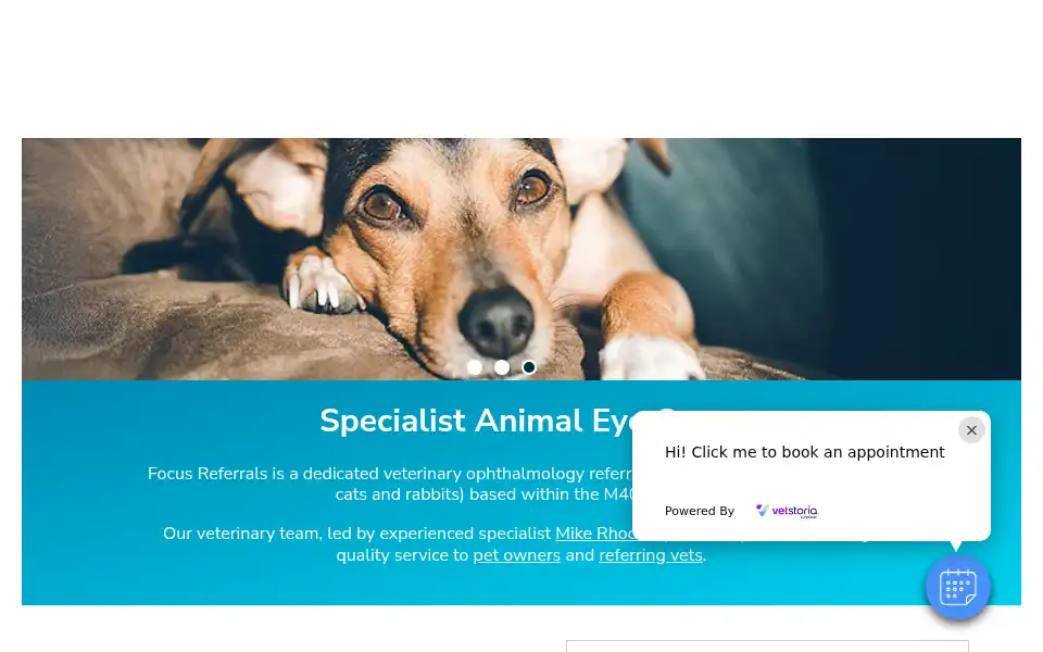 Screenshot of focusreferrals.co.uk