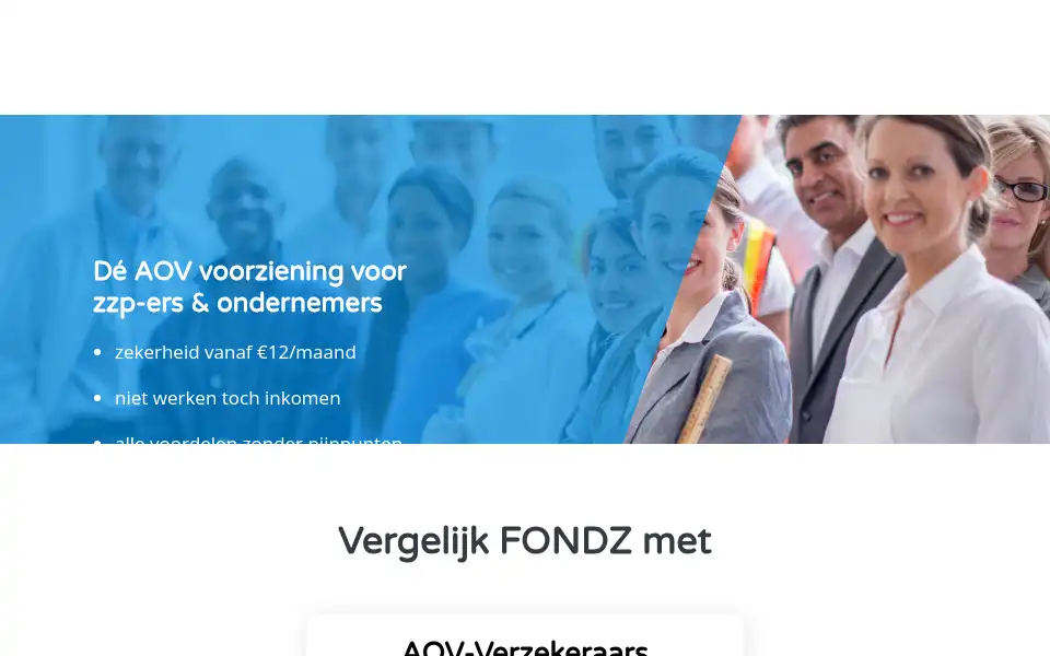Screenshot of fondz.nl