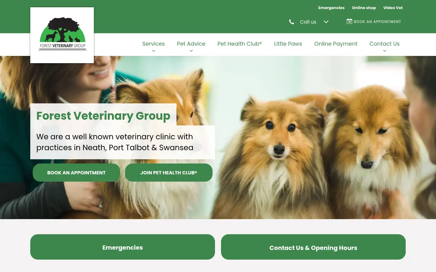 Screenshot of forestvetgroup.co.uk