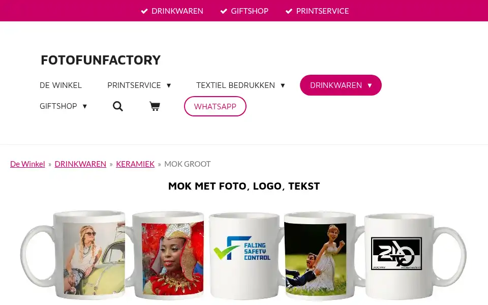 Screenshot of fotofunfactory.nl