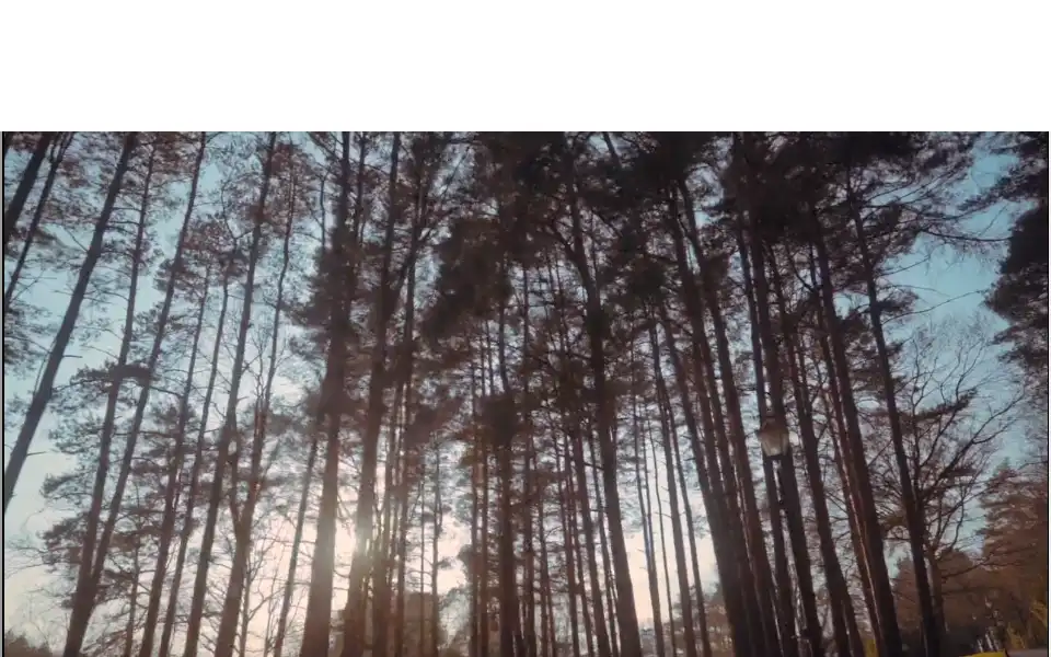 Screenshot of foxhills.co.uk