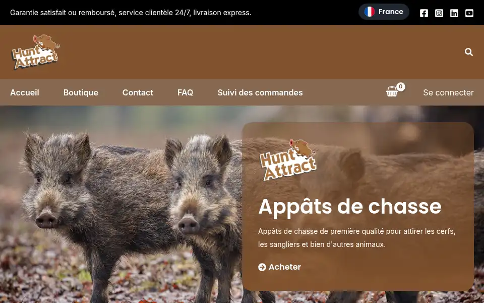 Screenshot of fr.huntattract.com