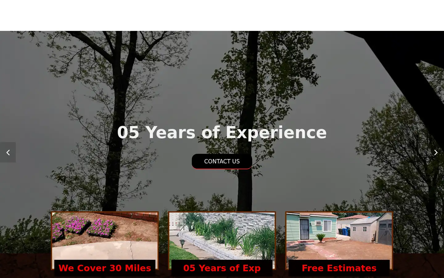 Screenshot of franciscoslawnservice.us