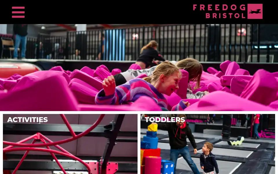 Screenshot of freedogbristol.com