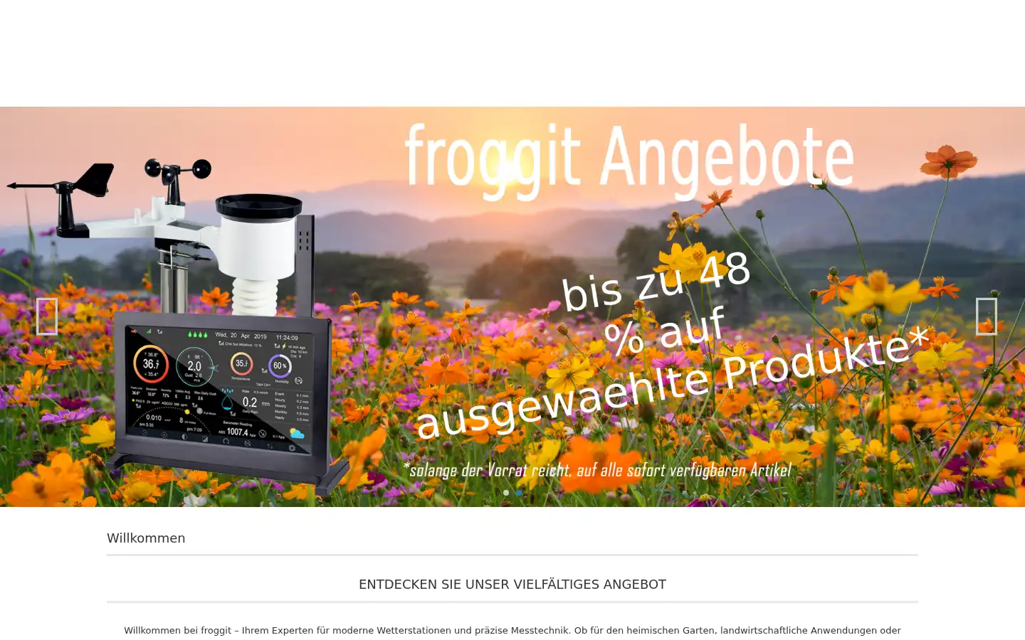 Screenshot of froggit.de