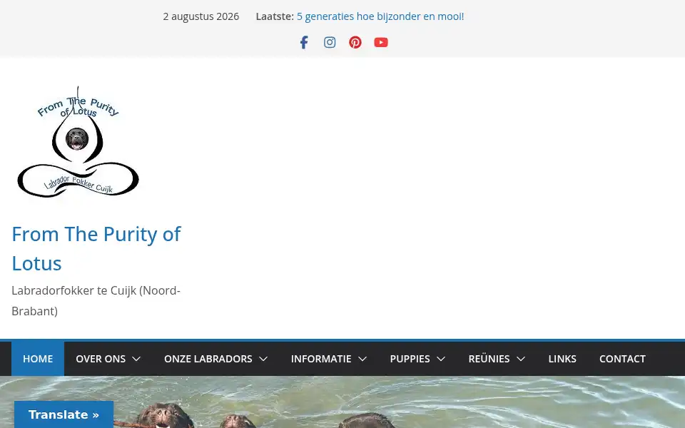 Screenshot of fromthepurityoflotus.nl