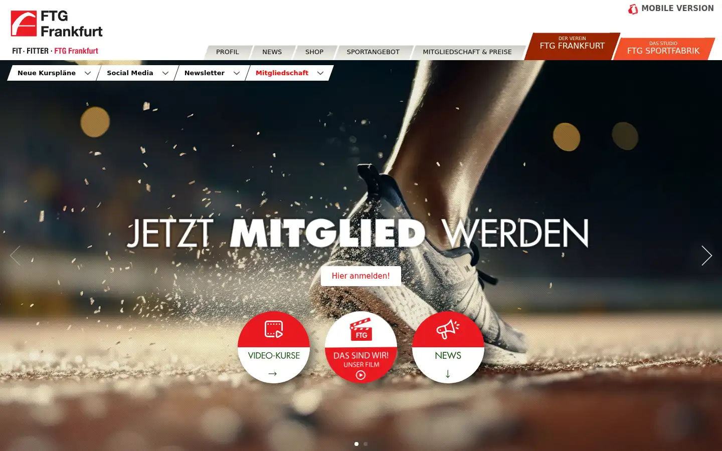 Screenshot of ftg-frankfurt.de