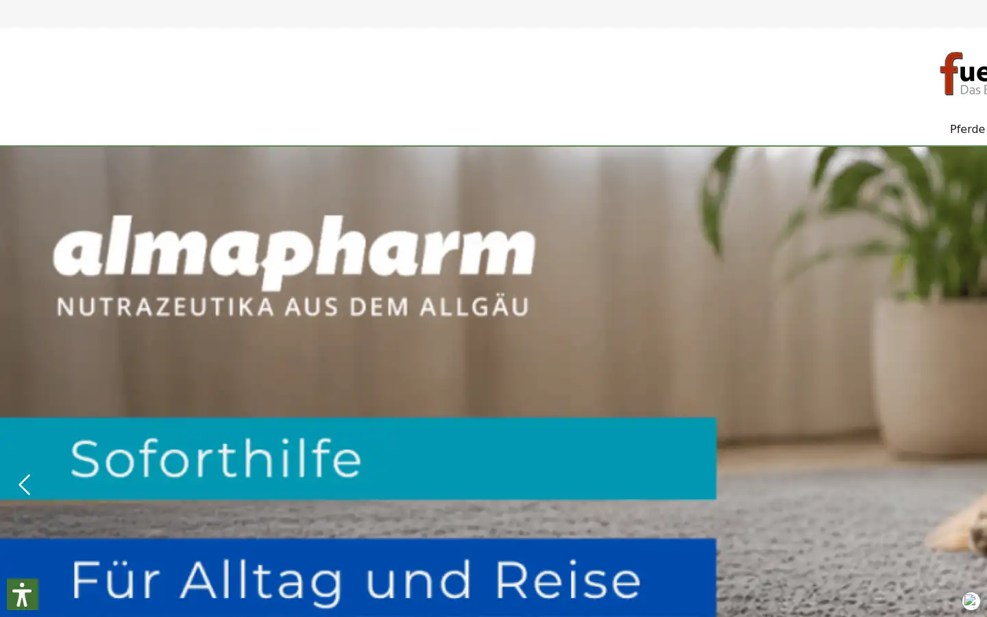 Screenshot of fuetternundfit.de