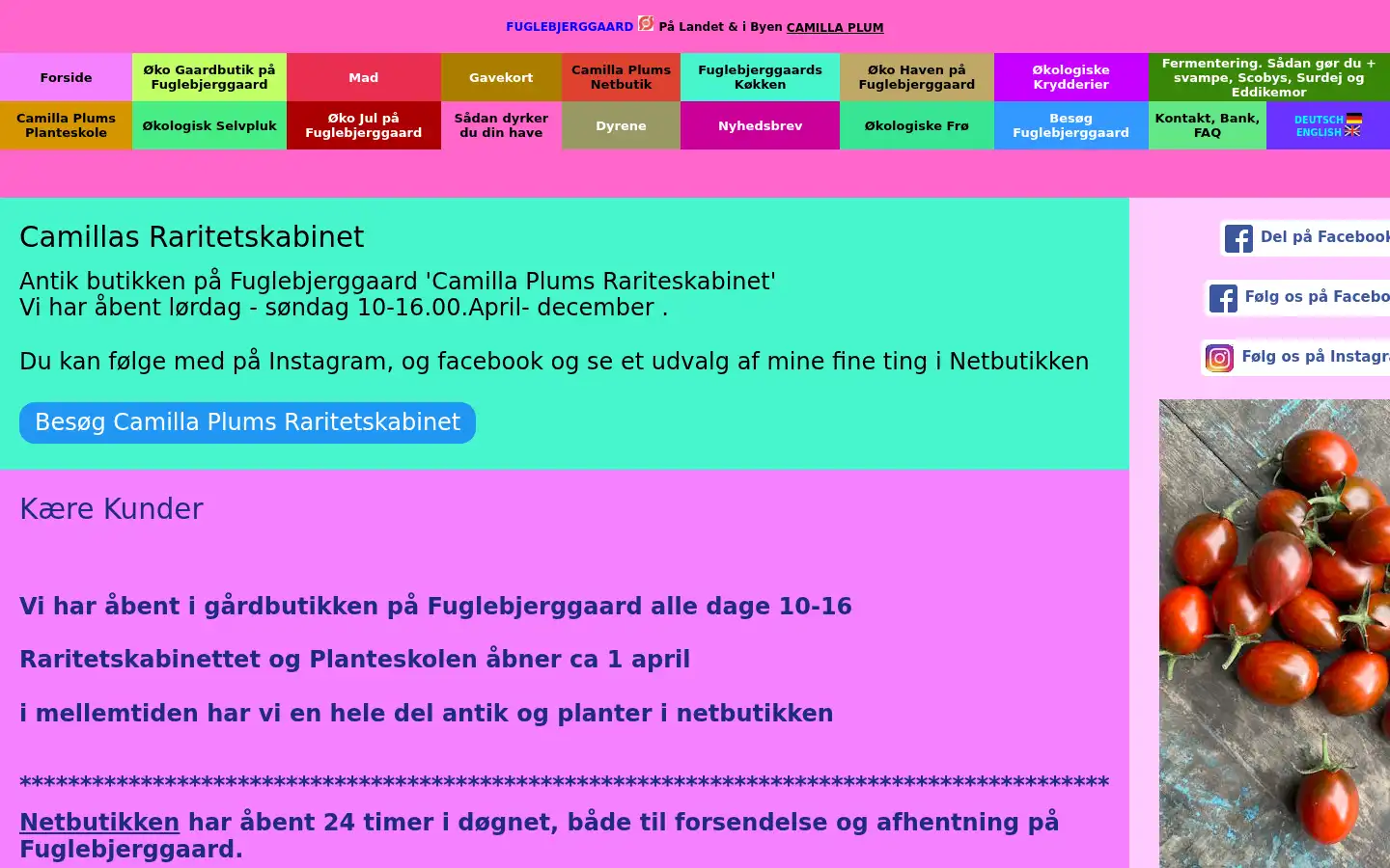 Screenshot of fuglebjerggaard.dk