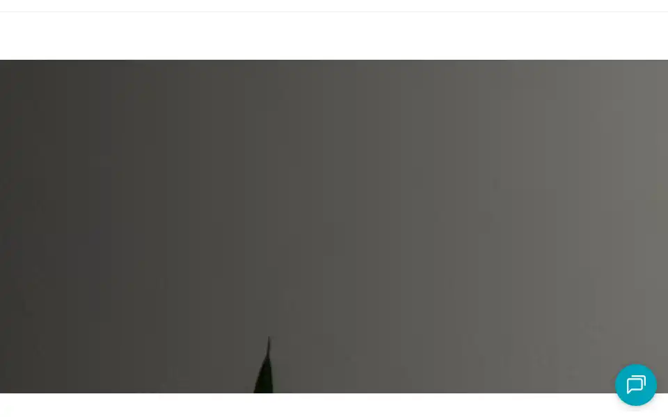 Screenshot of fullstackacademy.com