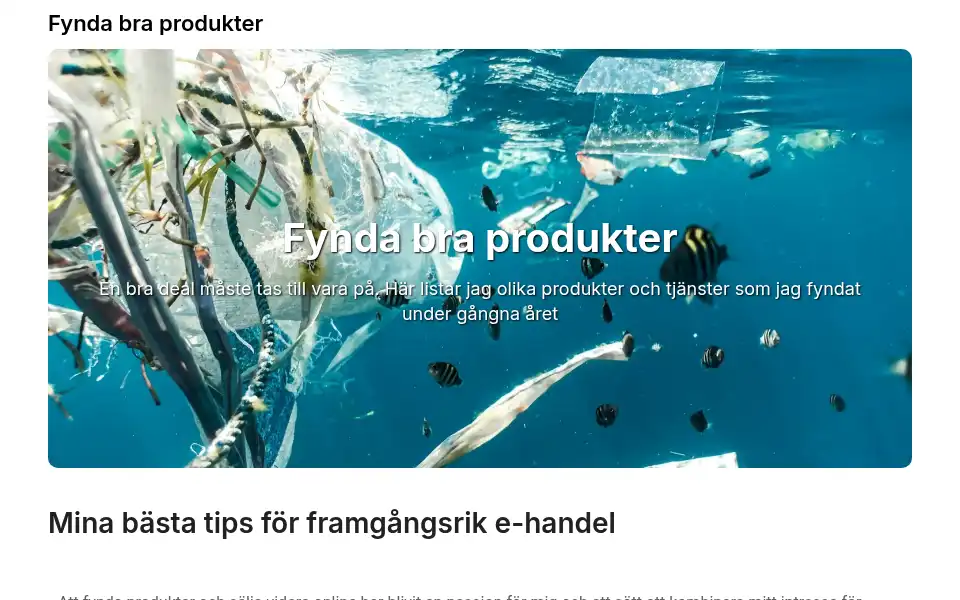 Screenshot of fyndtorget.nu