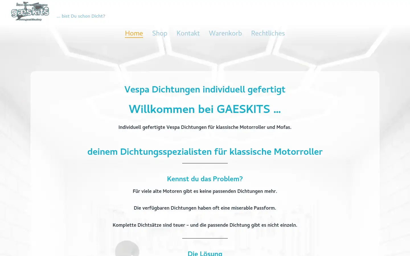 Screenshot of gaeskits.shop