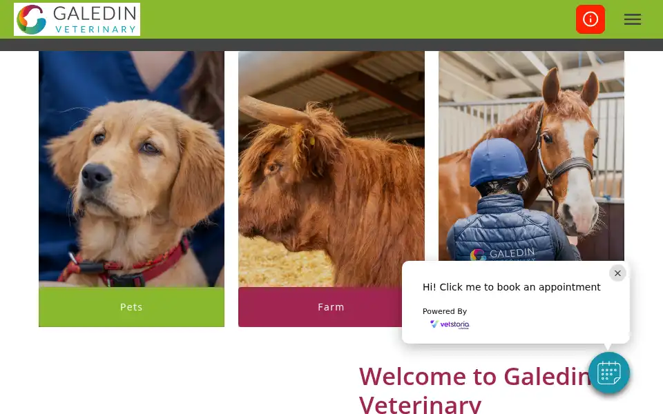 Screenshot of galedinvet.com