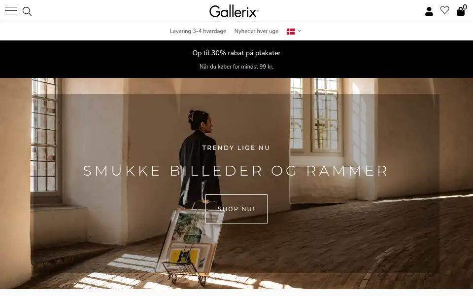 Screenshot of gallerix-home.dk