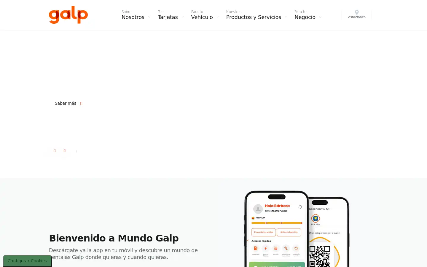 Screenshot of galp.com