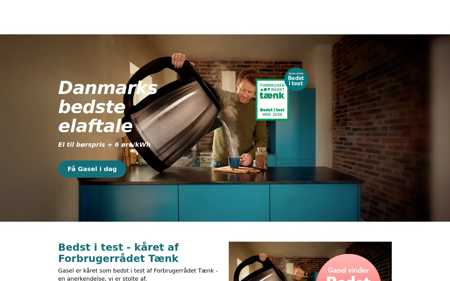 Screenshot of gasel.dk
