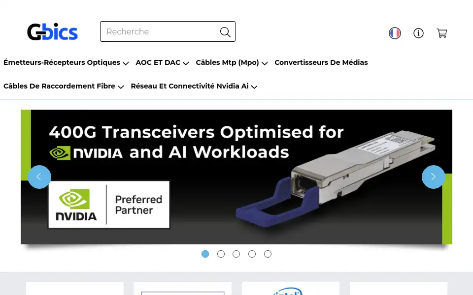 Screenshot of gbics.com