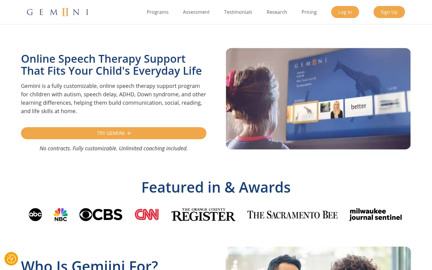 Screenshot of gemiini.org