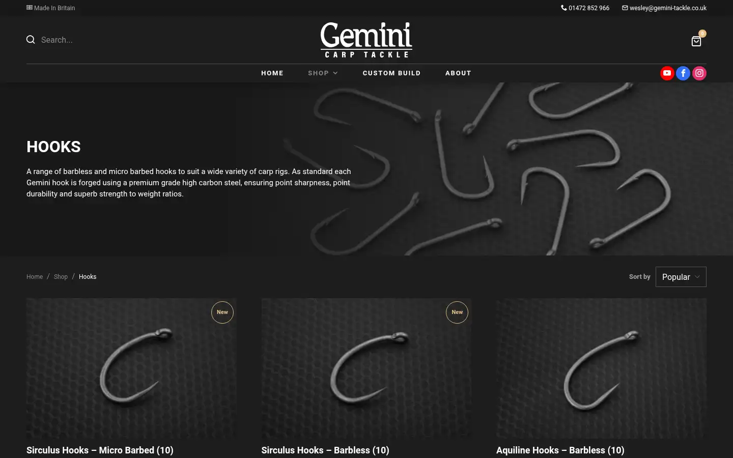 Screenshot of geminicarptackle.com