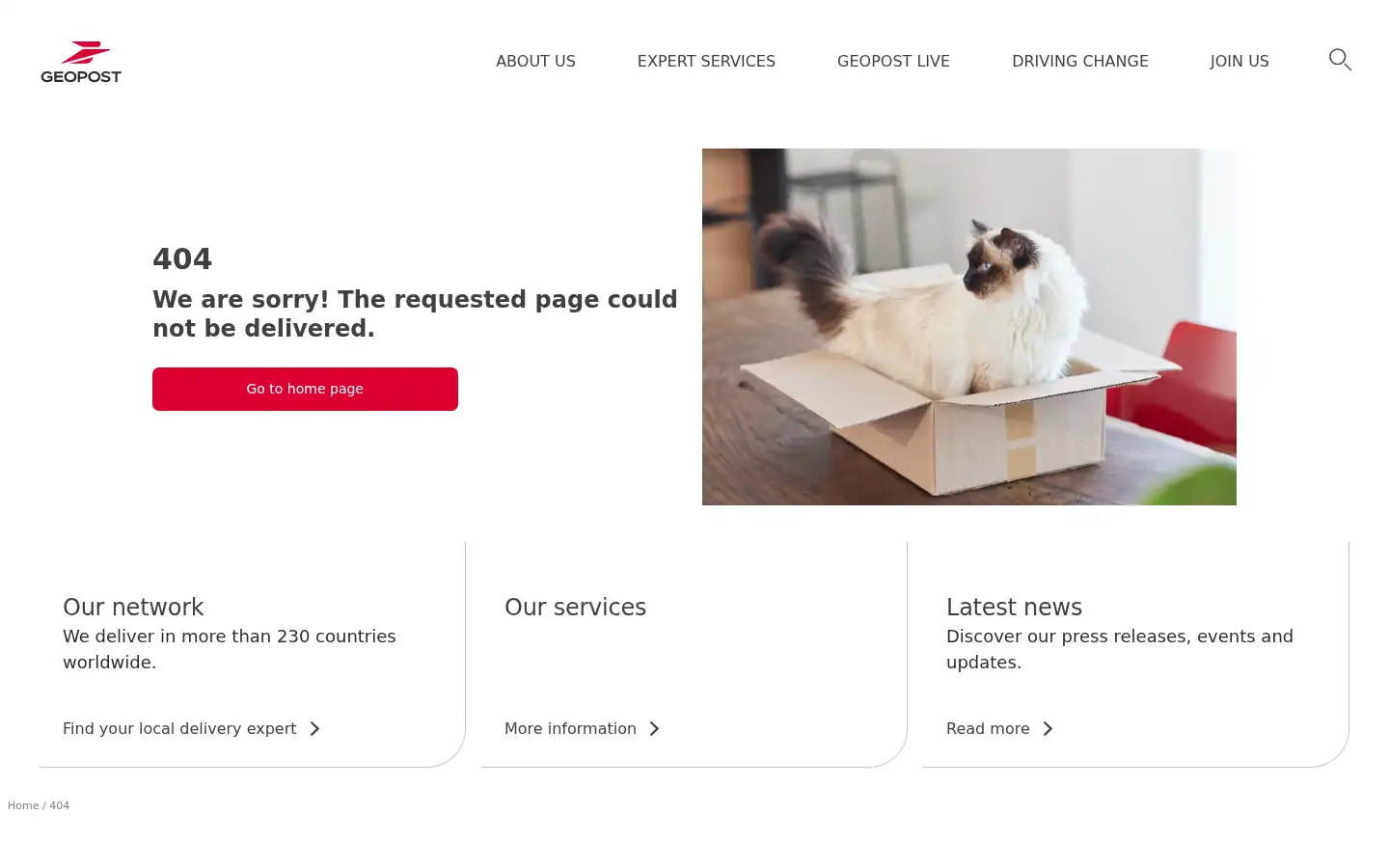 Screenshot of geopostgroup.com