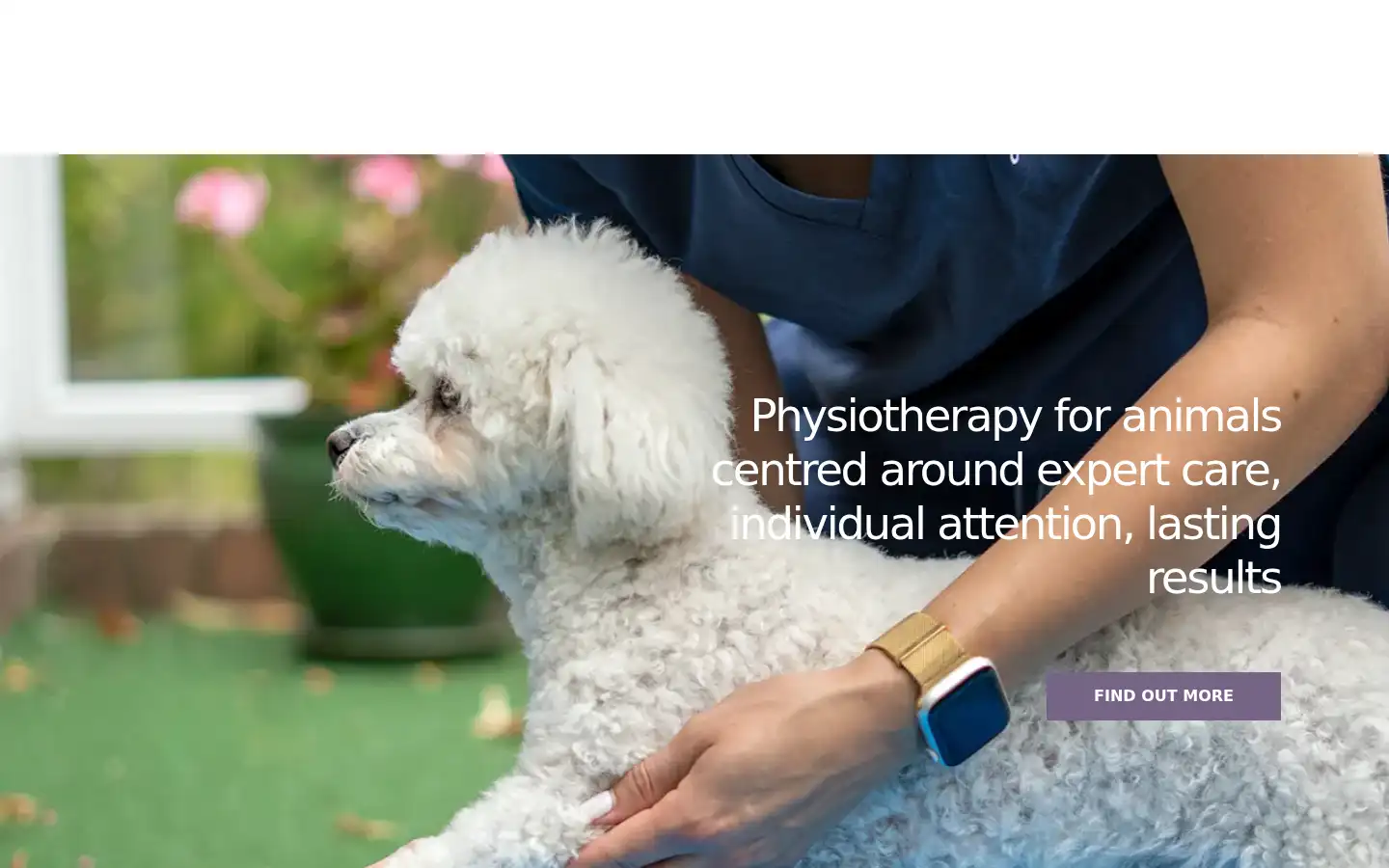 Screenshot of georgiagovervetphysio.co.uk
