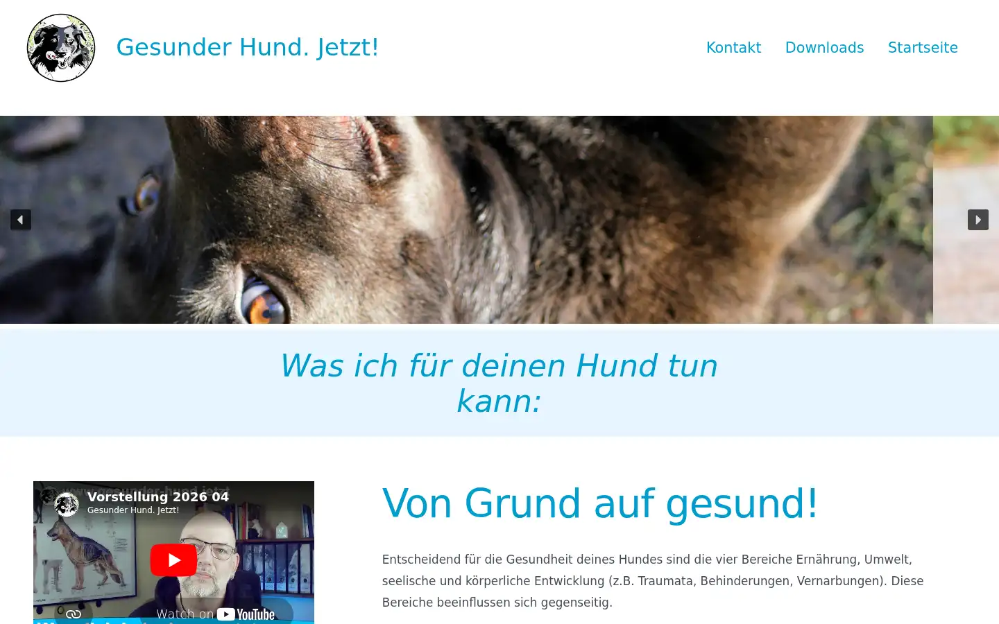 Screenshot of gesunder-hund.jetzt