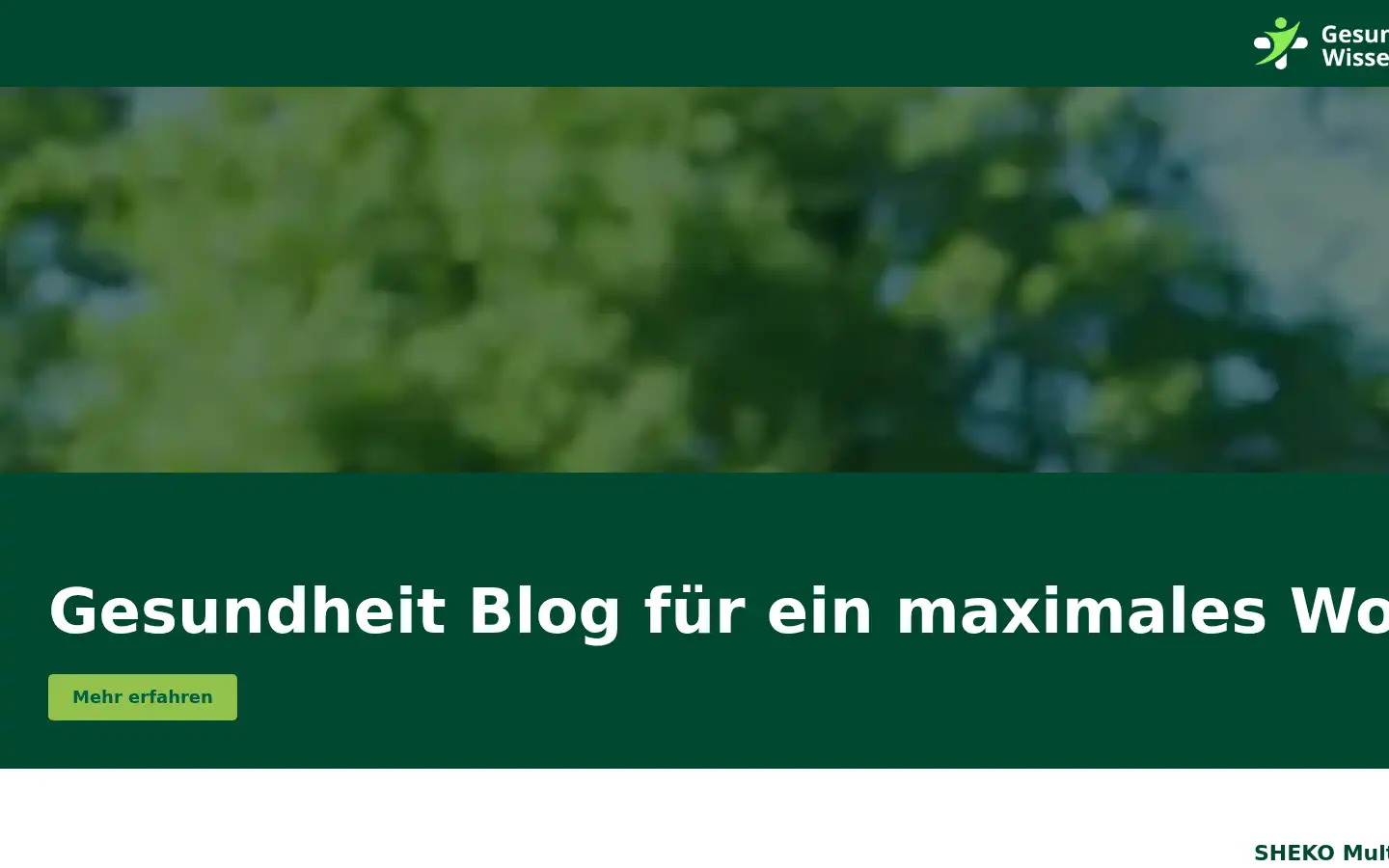 Screenshot of gesundheit-wissen.de