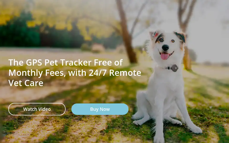 Screenshot of getfindster.com