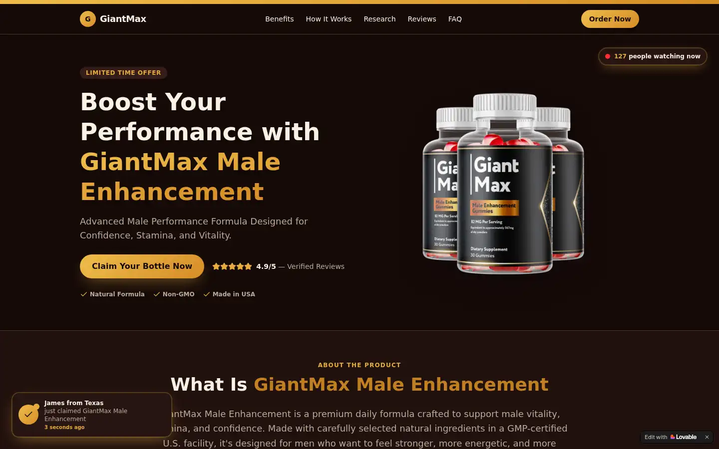 Screenshot of giantmax.lovable.app